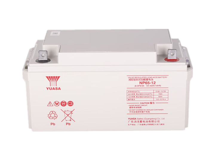 湯淺蓄電池NP65-12